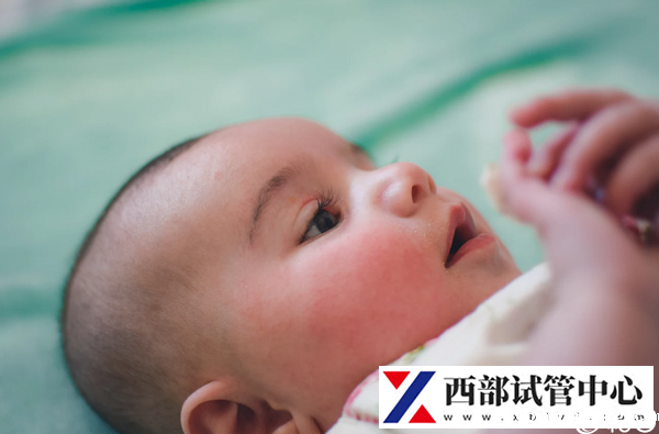 红十字or省医院做试管婴儿成功率多少?(图3) 西宁红十字医院做试管婴儿