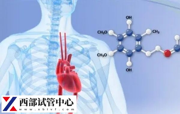 详解冬首辅酶q10与辅酶q10的区别,化学结构大不同(图2) 冬首辅酶q10是天然的抗氧化剂
