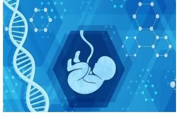 三代试管婴儿 三代试管婴儿