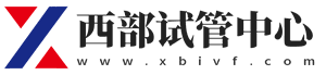 2026年世界杯完整