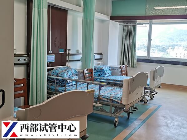 云南最好的世预赛直播免费观看