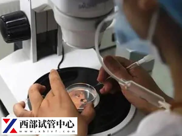 嵌合体30%其实也可以做试管婴儿移植,比例才是成功关键(图2) 嵌合体百分之30的胚胎能不能做试管移植