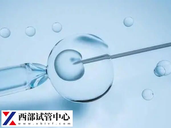 做试管期间可以调整促排方案