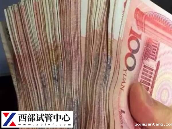 失独家庭试管补贴怎么申请