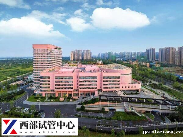 华西二院试管婴儿费用介绍