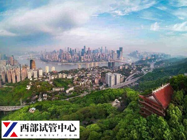 重庆三代世预赛直播免费观看有三家