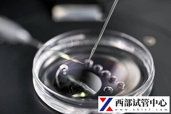 备孕多久不孕才能做试管婴儿手术?最新版详细解析在这里!(图2) 备孕多久不怀孕可以做试管婴儿