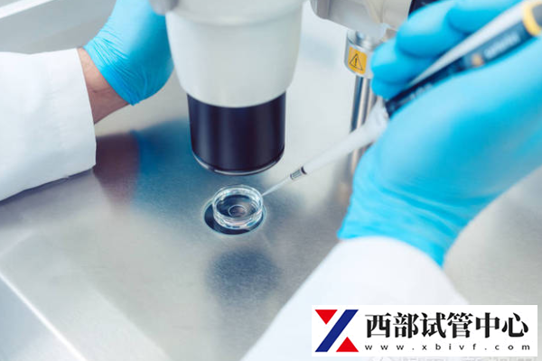 试管婴儿怎么节省费用?掌握5个关键点,开启省钱之旅!(图1) 试管婴儿怎么节省费用