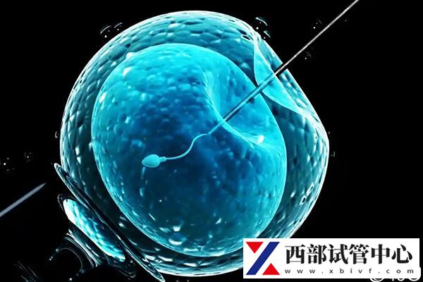 甘肃世预赛直播免费观看收费标准一览(图2) 不同试管手术费用有差异