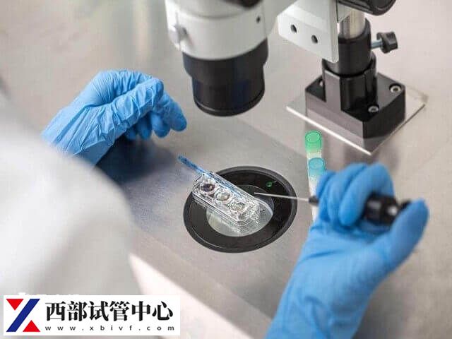 移植后小腹避免用力